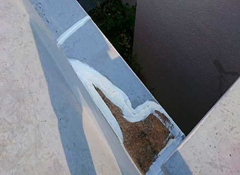 �����Ă����̂œP��������