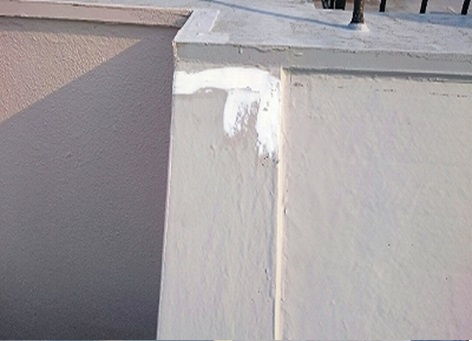 �V�[�������ł�