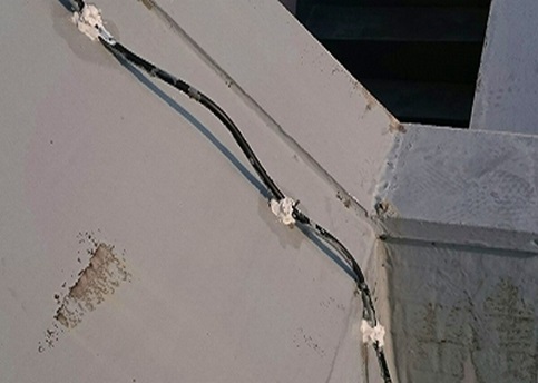 �V�[�������ł�