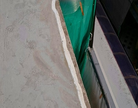 �V�[�������ł�