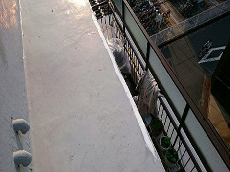 �V�[�������ł�