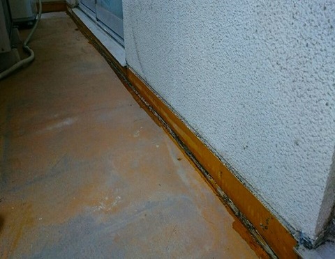 �v���C�}�[����