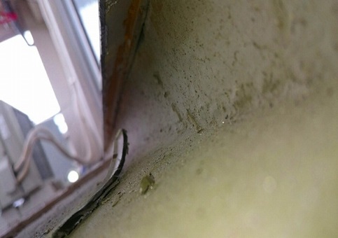 303�x�����_�ʑ�쐬�h���H���@���؂�Ԃ�P��