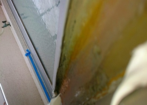 �V�[���p�v���C�}�[����