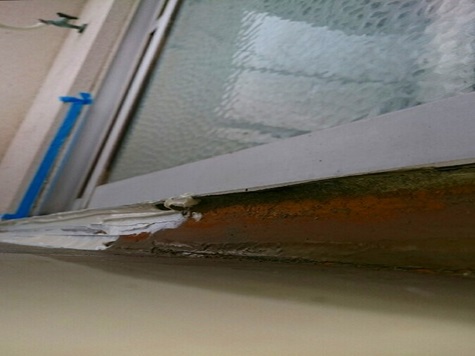 �V�[�����O����