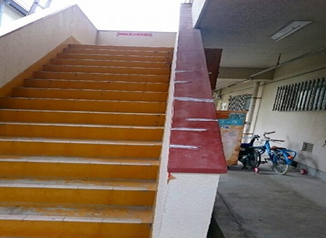 �V�[������