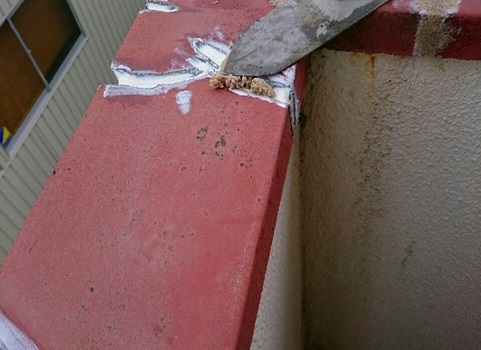 ���������^������