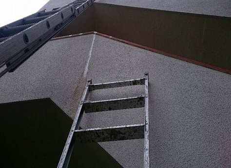 ���������^������