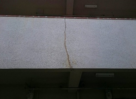 ���������^������