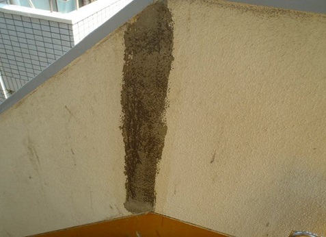 �V�[���[�h����