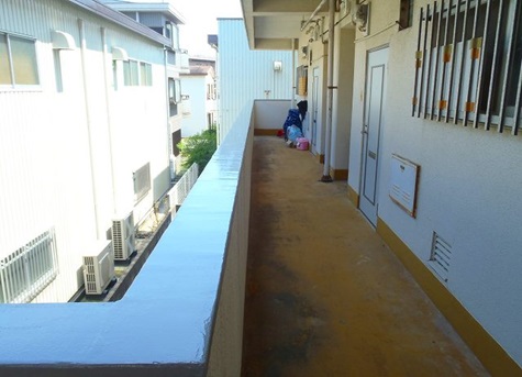 �{�E�W���e�b�N�X��h