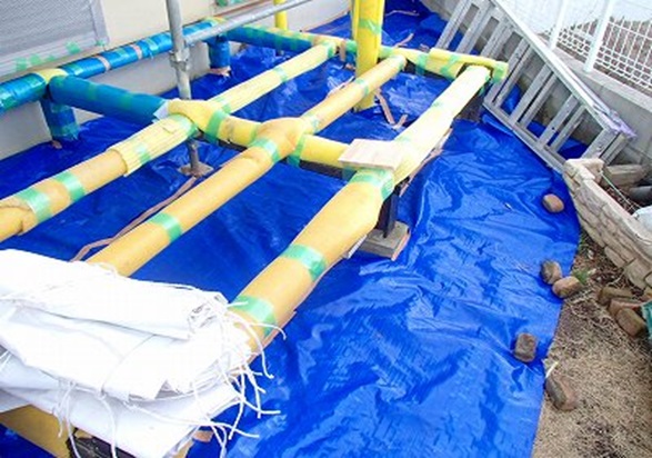 �y�� �{��