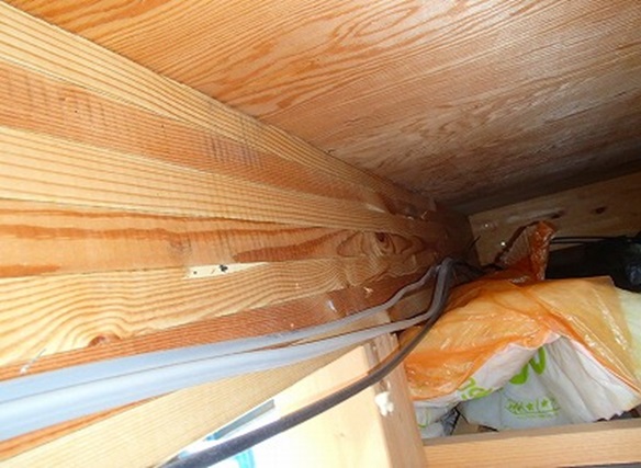 2F������ �R���Ռ������炸