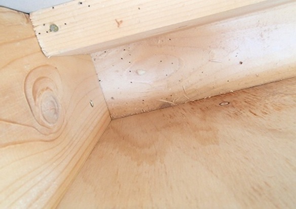 1F���r���O�T�b�V����� ������Ղ炵���`����B