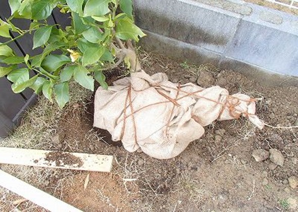 ���A�ڐݕی�@�d�C������ڐݏꏊ�����ݑ��A�ꏊ�ׁ̈B