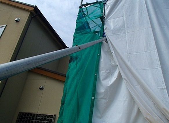 ���b�V���V�[�g ��U�{�����b�V���V�[�g2�d����