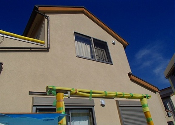 ���� ���