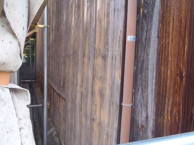 �P�������