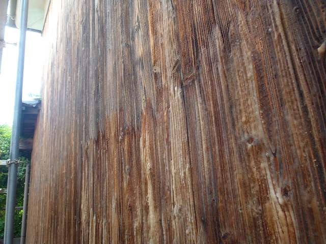 �A�N�􂢏���