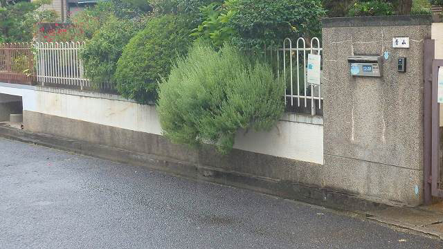 �ˌ��Z��O�����C�H��