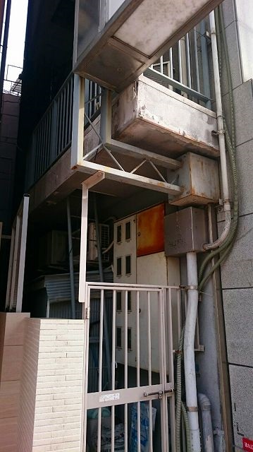 �k��2�K�x�����_�p���y�b�g �J���̐N���ɂ�蔍���̋���