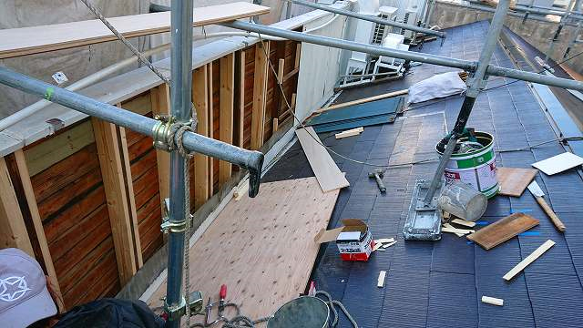 �p���y�b�g���Ǖ⋭�E���ւ��H���E�����h���H��