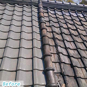 �J�R���C�E���������ւ��H���@�{�H�O