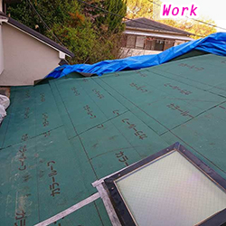 �J�R���C�@�h���V�[�g���t��