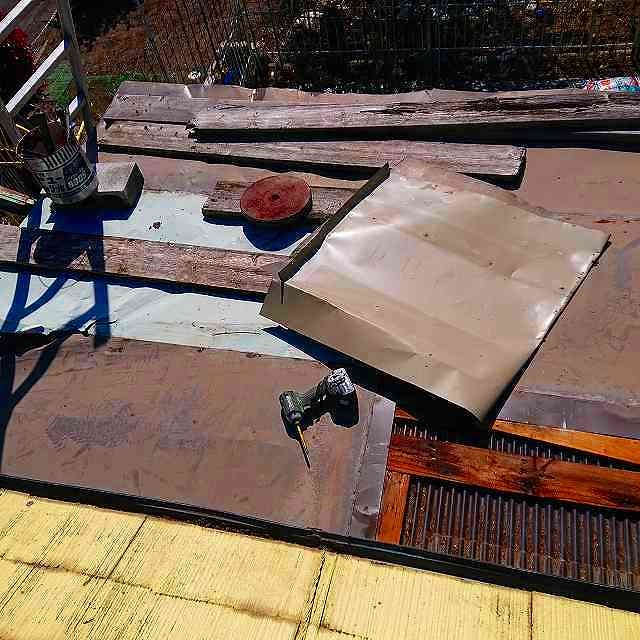 �K���o�j�E���g����