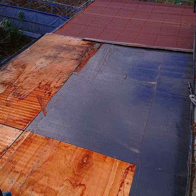 ��n�d����