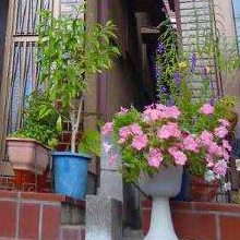 ��ʏZ��O�ǖʐ�150�u�̏ꍇ�̑ϋv���ƒz20�N�܂ł̓h��ւ���p���}