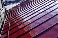 �����n��