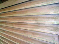 ���n�����i�P�����j