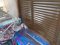 �S���V���b�^�[�㐁���t���h��